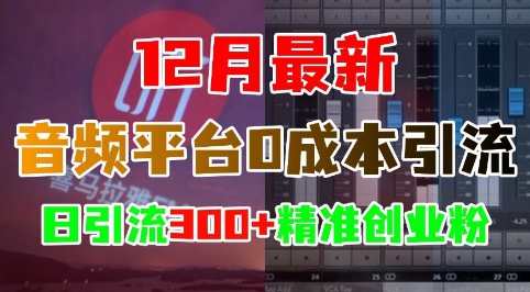 12月最新：音频平台0成本引流，日引流300+精准创业粉-创业资源库