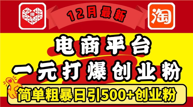 12月最新：电商平台1元打爆创业粉，简单粗暴日引500+精准创业粉，轻松月入过W【揭秘】-创业资源库