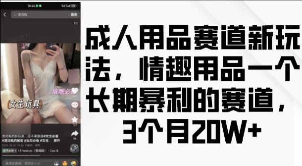 成人用品赛道新玩法，情趣用品一个长期暴利的赛道，3个月收益20个【揭秘】-创业资源库