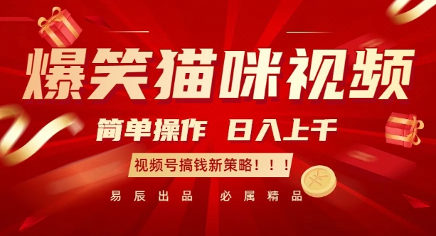 爆笑猫咪视频：简单操作，日入过K，视频号搞钱新策略【揭秘】-创业资源库