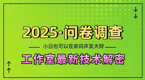2025问卷调查最新工作室技术解密：一个人在家也可以闷声发大财，小白一天2张，可矩阵放大【揭秘】-创业资源库