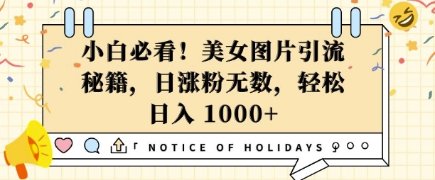小白必看，美女图片引流秘籍，日涨粉无数，轻松日入几张【揭秘】-创业资源库