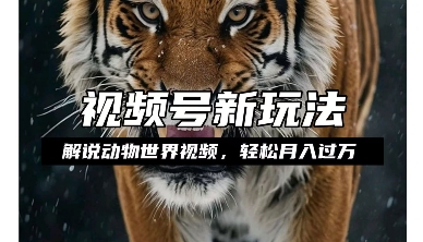 利用动物世界解说视频，赚分成计划收益，轻松月入过W，操作简单【揭秘】-创业资源库