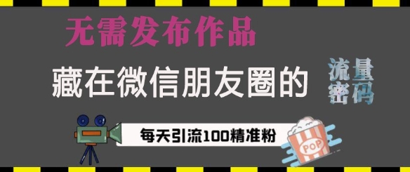 藏在微信朋友圈的流量密码，无需发布作品，单日引流100+精准创业粉【揭秘】-创业资源库