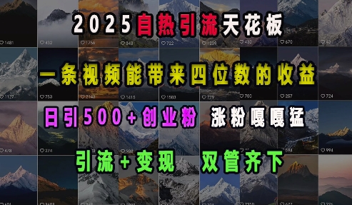 2025自热引流天花板，一条视频能带来四位数的收益，引流+变现双管齐下，日引500+创业粉，涨粉嘎嘎猛-创业资源库