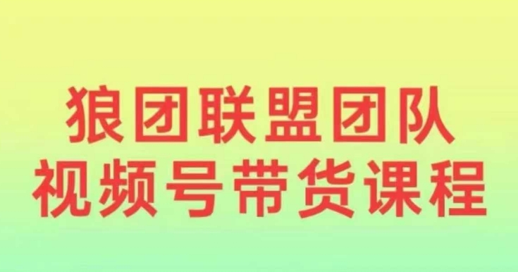 狼团联盟2024视频号带货，0基础小白快速入局视频号-创业资源库
