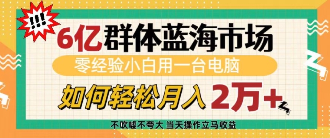 6亿群体蓝海市场，零经验小白用一台电脑，如何轻松月入过w【揭秘】-创业资源库