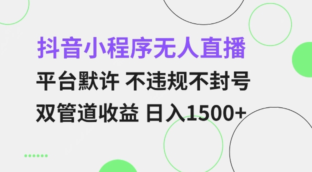 抖音小程序无人直播 平台默许 不违规不封号 双管道收益 日入多张 小白也能轻松操作【仅揭秘】-创业资源库