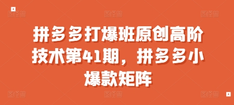拼多多打爆班原创高阶技术第41期，拼多多小爆款矩阵-创业资源库