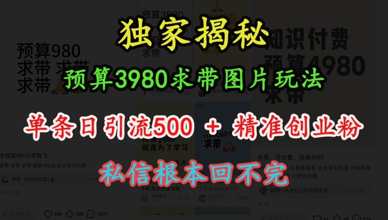 预算3980求带 图片玩法，单条日引流500+精准创业粉，私信根本回不完-创业资源库