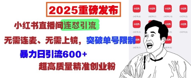 2025重磅发布：小红书直播间连怼引流，无需连麦、无需上镜，突破单号限制，暴力日引流600+-创业资源库