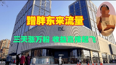 蹭胖东来流量，三天涨万粉，收益直接起飞-创业资源库
