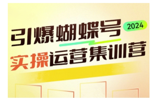 引爆蝴蝶号实操运营，助力你深度掌握蝴蝶号运营，实现高效实操，开启流量变现之路-创业资源库