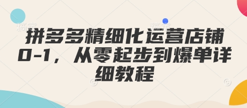 拼多多精细化运营店铺0-1，从零起步到爆单详细教程-创业资源库