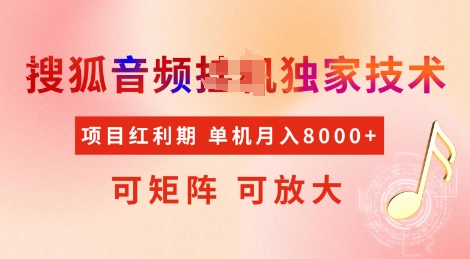 全网首发搜狐音频挂JI独家技术，项目红利期，可矩阵可放大，稳定月入8k【揭秘】-创业资源库