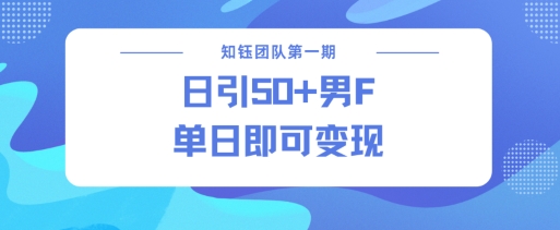 男粉引流新方法不违规，当日即可变现-创业资源库