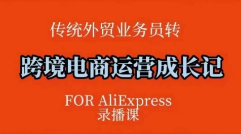 跨境电商速卖通运营课，​运营方法论+后台实操，逻辑清晰-创业资源库