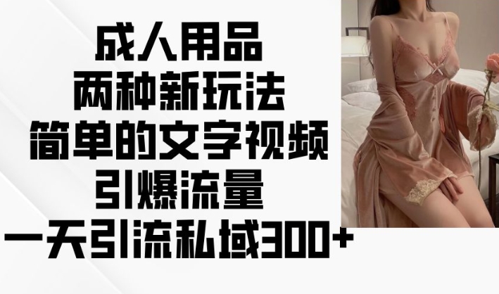 成人用品两种新玩法，简单的文字视频引爆流量，一天引流私域300+-创业资源库