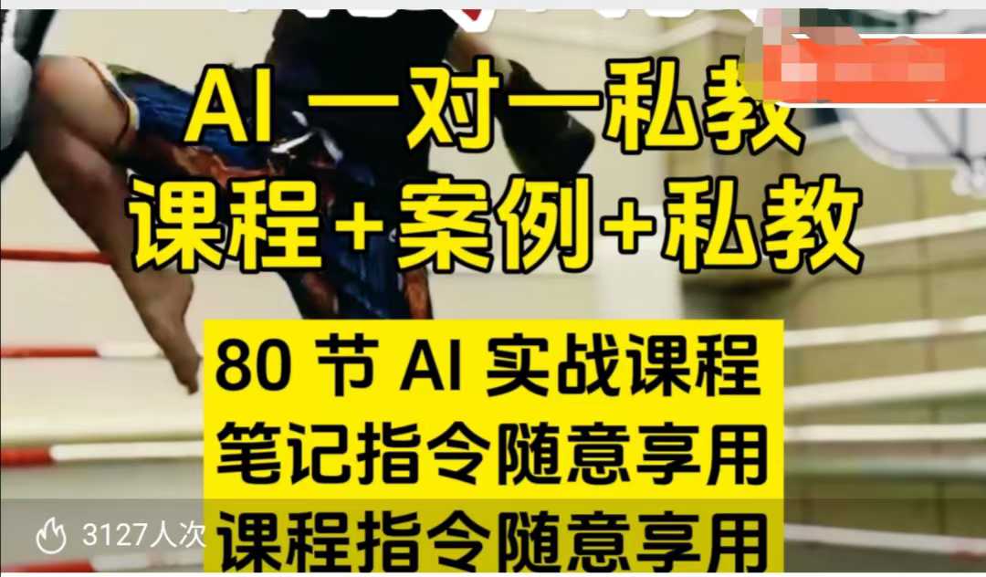 AI指令实战课，课程+案例，80节AI实战课程，笔记指令随意享用，课程指令随意享用-创业资源库