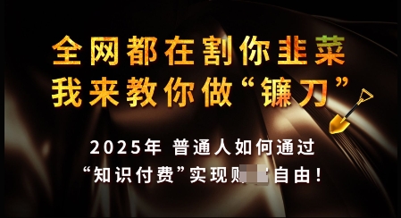 知识付费如何做到月入过W+，2025我来教你做“镰刀”【揭秘】-创业资源库