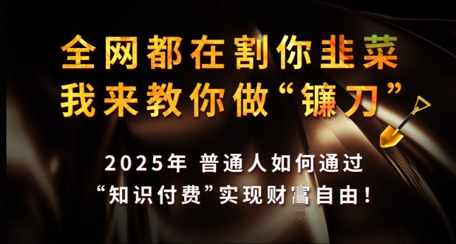 全网都在割你韭菜，我来教你做镰刀，2025年普通人如何通过 知识付费 实现财F自由【揭秘】-创业资源库