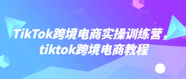 TikTok跨境电商实操训练营，tiktok跨境电商教程-创业资源库