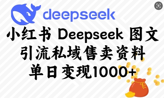小红书Deepseek图文引流私域售卖资料，单日变现多张-创业资源库