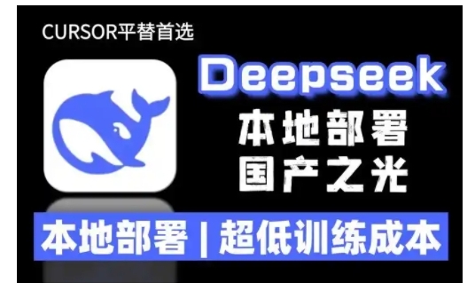 2025年deepseek R1 大型模型本地安装部署(文件+教程)本地部署，超低训练成本-创业资源库
