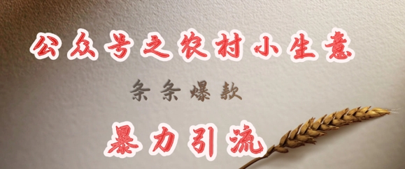 deepseek写农村小项目，条条爆款，暴力引流-创业资源库