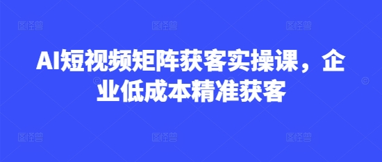 AI短视频矩阵获客实操课，企业低成本精准获客-创业资源库