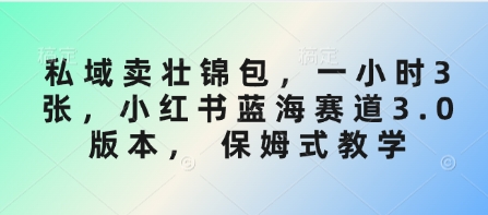 私域卖壮锦包，一小时3张，小红书蓝海赛道3.0版本， 保姆式教学-创业资源库