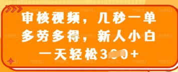 审核视频，几秒一单，多劳多得，新人小白一天轻松3张【揭秘】-创业资源库