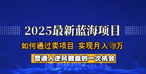 2025蓝海项目，普通人如何通过卖项目，实现月入过W，全过程【揭秘】-创业资源库