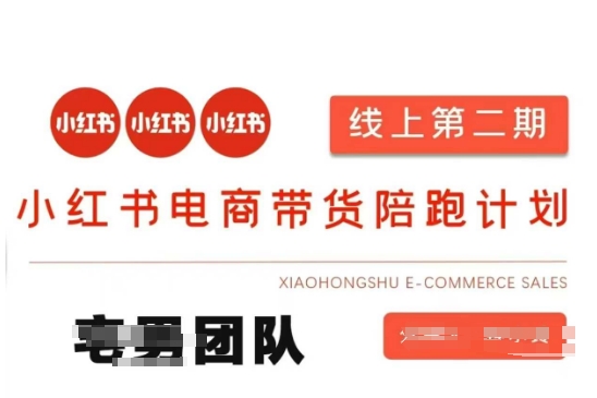 小红书电商带货课2期，月利润20个的小红书电商的有货源，无货源，虚拟产品，付费投流等整套玩法-创业资源库