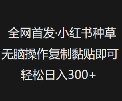 全网首发，小红书种草无脑操作，复制黏贴即可，轻松日入3张-创业资源库