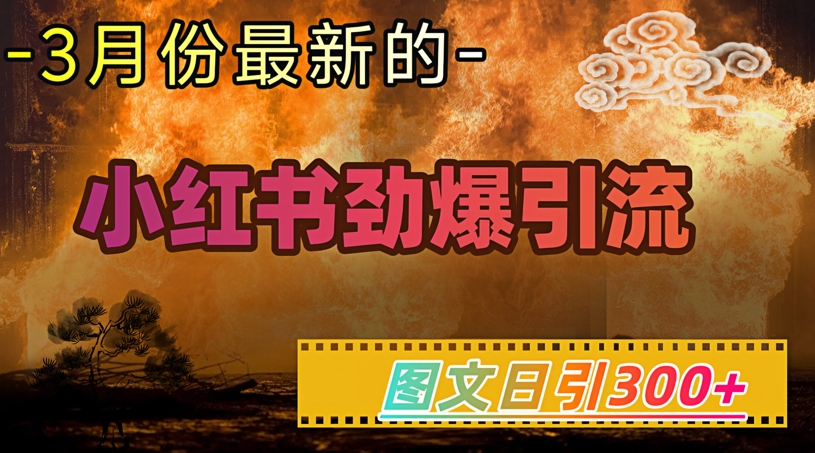 小红书超劲爆引流手段，图文日引300+轻松变现1W-创业资源库