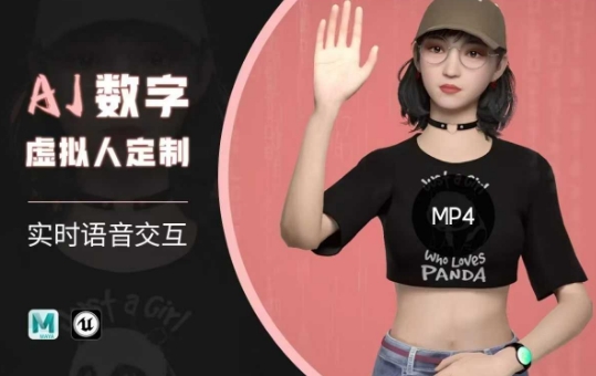 Ai数字人虚拟(智能体)实时语音交互特训营，​自行定制超写实角色AI数字人交互技术-创业资源库