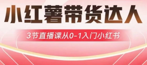小红薯达人带货启航计划，3节直播课从0-1入门小红书-创业资源库