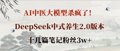AI中医大模型杀疯了！DeepSeek中式养生2.0版本，十几篇笔记粉丝3w+-创业资源库
