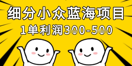 细分小众蓝海项目，一单利润3张，每月收入稳定过1w+-创业资源库