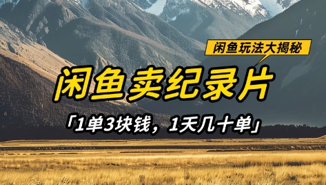 闲鱼卖纪录片1单3块钱，1天几十单，项目稳定有潜力-创业资源库