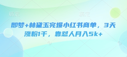 即梦+林黛玉完爆小红书商单，3天涨粉1千，靠怼人月入5k+-创业资源库