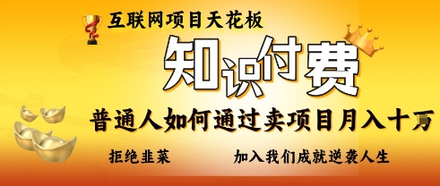 互联网项目天花板，知付付费项目，普通人如何通过卖项目月入十个，拒绝韭菜【揭秘】-创业资源库