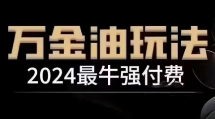 2024最牛强付费，万金油强付费玩法，干货满满，全程实操起飞（更新25年04月）-创业资源库