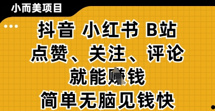 小而美的项目，抖音小红书B站视频点赞、关注、评论就能挣钱，简单无脑立见收益，妥妥的零撸项目【揭秘】-创业资源库