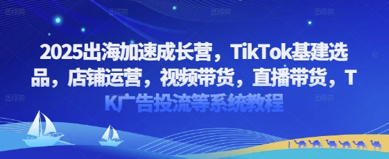 2025出海加速成长营，TikTok基建选品，店铺运营，视频带货，直播带货，TK广告投流等系统教程-创业资源库