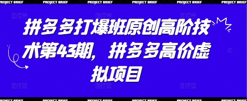 拼多多打爆班原创高阶技术第43期，拼多多高价虚拟项目-创业资源库