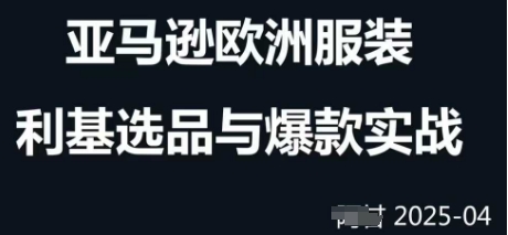 跨境电商选品案例24-25年，聚焦跨境电商选品策略与运营优化，助力卖家挖掘蓝海市场-创业资源库