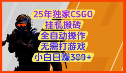25年独家CSGO挂G搬砖，全自动操作，无需打游戏，小白日入3张+【揭秘】-创业资源库