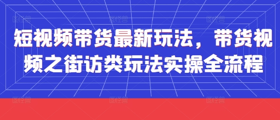 短视频带货最新玩法，带货视频之街访类玩法实操全流程-创业资源库